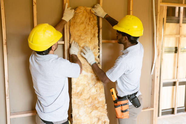 Best Energy-Efficient Insulation  in Oyster Bay Cove, NY